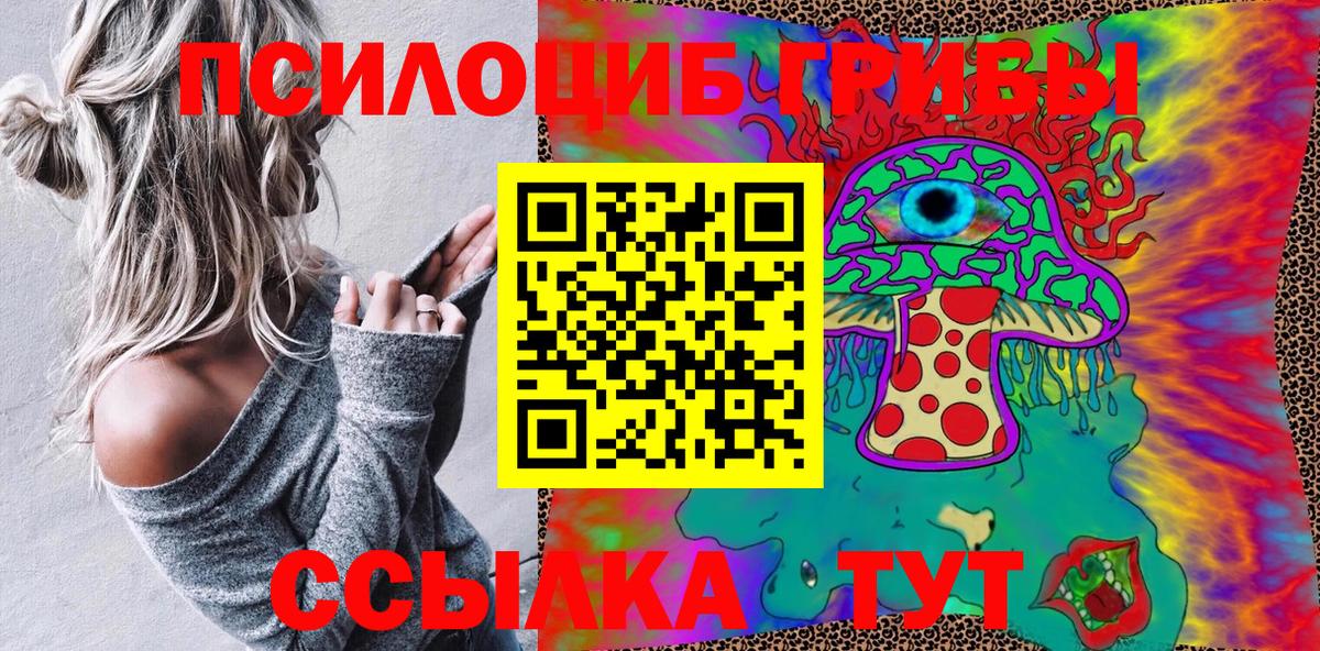 Галлюциногенные грибы Psilocybine cubensis  Вход с VPN  Шали 